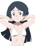  1girl armpits arms_up bangs barbara_parker bare_shoulders bikini black_eyes black_hair blunt_ends breasts closed_mouth collarbone halterneck hands_in_hair light_frown little_witch_academia long_hair looking_at_viewer navel parted_bangs satochi short_eyebrows sidelocks simple_background small_breasts solo swimsuit tareme underboob upper_body white_background white_bikini 