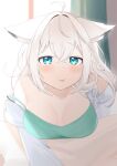  1girl 345_myk absurdres animal_ears bangs blanket blurry blurry_background blush braid breasts camisole cleavage commentary_request curtains ears_down eyebrows_visible_through_hair fox_ears fox_girl green_camisole green_eyes hair_between_eyes hand_in_own_hair highres hololive indoors looking_at_viewer medium_breasts open_clothes open_shirt shirakami_fubuki shirt sidelocks single_braid solo tongue virtual_youtuber white_hair white_shirt window 