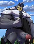  2022 absurd_res anthro balls blue_sky bottomwear clothing cloud foreskin genitals grass hi_res legendary_pok&eacute;mon loincloth male mostly_nude muscular muscular_male nintendo outside penis plant pok&eacute;mon pok&eacute;mon_(species) sky solo urshifu vein veiny_penis video_games zfou 