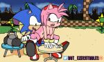  .executables amy_rose animated anthro balls beach breasts duo eulipotyphlan female genitals hedgehog humanoid lap male male/female mammal on riding seaside sega sitting sonic_the_hedgehog_(series) vaginal video_games 