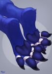  feet foot_focus hi_res lutrine maaia mammal membrane_(anatomy) mustelid paws webbed_feet 