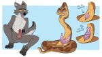  animal_genitalia animal_penis anthro balls canid canine canis colored dreamworks duo feral fur genitals hemipenes hi_res knot male mammal mr._snake_(the_bad_guys) mr._wolf_(the_bad_guys) multi_genitalia multi_penis nude penis reptile scales scalie simple_background snake sparkskun the_bad_guys wolf 