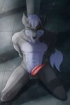  anthro canid canine canis dark_guardian_corporation dgc genitals hi_res male mammal nude penis solo wolf 