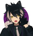  1boy absurdres animal_ears bangs black_gloves black_hair black_jacket black_shirt fangs fur-trimmed_jacket fur_trim gloves grey_hair highres holostars jackal_boy jackal_ears jacket kageyama_shien long_sleeves looking_at_viewer male_focus multicolored_hair necktie open_mouth portrait shirt simple_background solo two-tone_background u0rei virtual_youtuber white_necktie yellow_eyes 