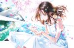  1girl bangs bare_shoulders brown_eyes brown_hair cherry_blossoms collarbone dress flower hands_up knees_up long_hair looking_down ocean original petals pink_flower sitting sleeveless sleeveless_dress smile solo tiv tree water white_dress 