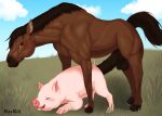 bestiality big_penis domestic_pig equid equine farm feral genitals horse male male/male mammal mavrickzoo penis sex suid suina sus_(pig) 