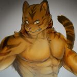  anthro felid feline hi_res male mammal nude pantherine solo stampmats tiger 