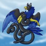  avian gryphon hi_res mythological_avian mythology rubber shiny_(disambiguation) symrea 