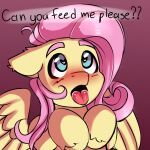 &lt;3 &lt;3_eyes absurd_res ambiguous_gender begging blue_eyes blush dialogue ears_back equid equine female feral fluttershy_(mlp) friendship_is_magic hair hasbro hi_res hooves knochka looking_up mammal my_little_pony pegasus pink_hair pivoted_ears tongue tongue_out wings yellow_body yellow_wings 