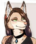  anthro canid canine canis clothed clothing digital_media_(artwork) female fur green_eyes hair mammal siffey_wolf simple_background smile solo wolf 