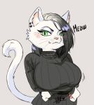  anthro breasts clothed clothing domestic_cat felid feline felis female fur green_eyes hair looking_at_viewer mammal siffey_wolf simple_background smile solo 
