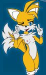  anthro breasts canid canine darkholm1 female fox genitals hi_res mammal miles_prower one_eye_closed pussy sega solo sonic_the_hedgehog_(series) tongue tongue_out wink 