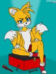  anthro canid canine darkholm1 fox genitals knot male mammal miles_prower penis sega smile solo sonic_the_hedgehog_(series) toolbox 