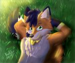  anthro blue_hair canid canine fluffy fox fur grass green_eyes hair hi_res jewelry kukocl male mammal necklace orange_body orange_fur plant slim solo sunset 