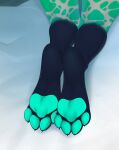  ambiguous_gender anthro canid canine canis feet foot_focus hi_res mammal nurah pawpads paws solo wolf 