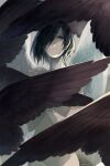  1girl black_eyes black_hair black_wings closed_mouth covering elona feathered_wings frown groin hair_over_one_eye hands_up herayoshi highres looking_at_viewer lulwy_of_wind multiple_wings nude one_eye_covered red_wings short_hair solo twitter_username upper_body white_wings wings 