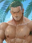  1boy abs armpit_hair armpits bara blush cropped frown gorou_naoki green_hair grin highres large_pectorals long_sideburns looking_down male_focus muscular muscular_male nipples no_scar nude one_eye_closed one_piece pectorals roronoa_zoro short_hair sideburns sky smile solo sweat tree 