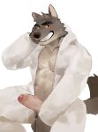  2022 abs absurd_res anthro big_penis blush canid canine canis clothed clothing dreamworks erection eyebrows foreskin fur genitals hi_res hood humanoid_genitalia humanoid_penis looking_at_viewer male mammal mr._wolf_(the_bad_guys) muscular muscular_anthro muscular_male onesie pecs penis seatohao simple_background sitting smile solo teeth the_bad_guys thick_penis tuft unzipped vein white_background wolf 