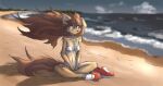  anthro apogee_(tinygaypirate) arm_tuft beach bikini black_nose breasts brown_body brown_eyes brown_fur brown_hair canid canine canis cheek_tuft clothed clothing cloud cowlick crossed_legs day detailed_background domestic_dog ear_piercing elbow_tuft eyebrow_through_hair eyebrows eyelashes facial_markings facial_piercing facial_tuft female floppy_ears footwear fur furgonomics furry-specific_piercing gauged_ear hair head_markings hi_res knee_tuft leg_tuft long_hair looking_aside mammal markings messy_hair muzzle_piercing navel nose_piercing off_shoulder outside piercing plantigrade seaside shadow shoes sitting slim small_breasts solo spitz swimwear tinygaypirate translucent translucent_hair tuft water wind 