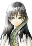  1girl bangs black_hair black_necktie burningblossom collared_shirt cover cover_image cover_page eyebrows_visible_through_hair green_eyes hair_behind_ear highres lizard_tail long_hair manga_cover mukasete!_ryuugasaki-san necktie official_art reptile_girl ryuugasaki-san school_uniform shirt solo tail textless white_background white_shirt 