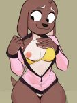  2022 absurd_res anthro areola blush breasts brown_body brown_fur canid canine canis digital_media_(artwork) domasarts domestic_dog ears_down female fur hi_res mammal nelly_(domasarts) nipples pink_areola pink_nipples pivoted_ears sitting smile solo 