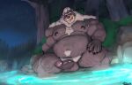  2022 anthro belly big_belly detailed_background erection genitals hi_res humanoid_genitalia humanoid_hands humanoid_penis lifewonders male mammal moobs night nipples outside overweight overweight_male penis plant sitting solo tokyo_afterschool_summoners tree uniparasite ursid video_games water wen_kamui_(tas) 