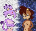  abstract_art abstract_background anthro archie_comics blaze_the_cat chipmunk domestic_cat duo felid feline felis female female/female feral ground_squirrel hi_res hrisaura humanoid jealous mammal nude pose rodent sally_acorn sciurid sega sonic_the_hedgehog_(archie) sonic_the_hedgehog_(comics) sonic_the_hedgehog_(series) 