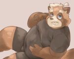  2022 absurd_res anthro blue_eyes bottomwear brown_body canid canine clothing furries_tetras hi_res kemono male mammal moobs overweight overweight_male raccoon_dog shirt shorts simple_background solo tanuki topwear 