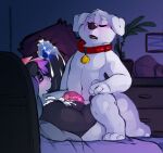  anal anal_penetration animal_genitalia anthro bed bedroom_eyes blue_genitals bodily_fluids brian_griffin canid canine canis collar cowgirl_position cum cum_inside cum_on_chest domestic_dog duo ejaculation family_guy from_front_position furniture genital_fluids genitals giant_panda hi_res humanoid_genitalia humanoid_penis male male/male mammal narrowed_eyes on_bottom on_top orgasm orgasm_face penetration penis seductive sex shockstk tongue tongue_out ursid 