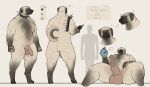  2022 absurd_res anthro balls biped bottle canid canine canis collar digital_media_(artwork) domestic_dog erection flaccid floppy_ears fur genitals hi_res humanoid_genitalia humanoid_penis male mammal model_sheet musclegut muscular muscular_anthro muscular_male penetrable_sex_toy penis securipun sex_toy solo spiked_collar spikes tan_body tan_fur 