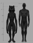  animal_humanoid anthro chart duo female height_chart hi_res human humanoid male male/female mammal mammal_humanoid missy_(napalm_express) napalm_express size_difference 