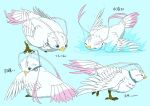  avian beak birdkey52134 blue_eyes collar feathers female filo_(the_rising_of_the_shield_hero) filolial filolial_queen hi_res pink_body pink_feathers simple_background the_rising_of_the_shield_hero water white_body white_feathers 