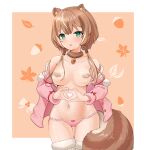  1girl :p animal_ears areolae ayunda_risu bandaid bandaids_on_nipples bare_shoulders blush border bow bow_panties breasts brown_background brown_hair cowboy_shot fur-trimmed_legwear fur_collar fur_trim green_eyes hair_ornament hairclip heart heart_hands highres hololive hololive_indonesia jacket long_hair looking_at_viewer low_twintails medium_breasts navel off_shoulder open_clothes open_jacket panties pasties pink_jacket pink_panties solo squirrel_ears squirrel_tail stomach tail telomere thigh_gap thighhighs tongue tongue_out topless twintails underwear white_border white_legwear 