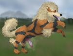  absurd_res anatomically_correct anatomically_correct_genitalia anatomically_correct_penis animal_genitalia animal_penis arcanine canid canine canine_penis canis domestic_dog feral fur genitals hi_res knot landscape male mammal muscular muscular_feral musk musk_clouds nintendo penis pok&eacute;mon pok&eacute;mon_(species) smoke smoke_from_mouth solo svevato video_games 