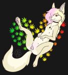  animal_genitalia animal_pussy canid canine canine_pussy digital_media_(artwork) drugs feet female feral feralbeans fur genitals hair looking_at_viewer mammal marijuana multi_nipple nipples nude pawpads paws pussy simple_background smile solo toes tongue 