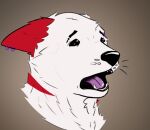 anthro arkdoggo arkdoggo_(character) berger_blanc_suisse bodily_fluids canid canine canis crying domestic_dog ear_piercing ear_ring ears_back eyebrow_piercing eyebrows facial_piercing fur headshot_portrait herding_dog male mammal open_mouth pastoral_dog piercing pivoted_ears portrait raised_eyebrows ring_piercing sad sad_expression sad_eyes solo tears teeth tongue whisker_dots whisker_spots whiskers white_body white_fur