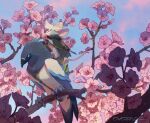  animal animal_focus artist_name backpack bag bird blue_eyes blue_sky branch cherry_blossoms cloak closed_eyes commentary day flower green_cloak highres mouse murayama_ryouta no_humans original outdoors perching pink_flower riding riding_animal riding_bird signature sitting sky smelling_flower talons 