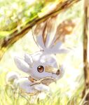  :3 animal_focus animal_nose backlighting blurry closed_mouth commentary dappled_sunlight day depth_of_field grass highres looking_at_viewer mouth_hold no_humans outdoors pokemon pokemon_(creature) rabbit red_eyes running scorbunny solo sunlight tensaitou_tou tree 