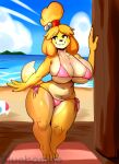 animal_crossing anthro beach big_breasts big_butt bikini bluebambo breasts butt clothed clothing female hi_res isabelle_(animal_crossing) nintendo pink_clothing seaside skimpy smile solo sunny swimwear