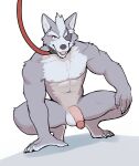 2024 abs anthro balls biceps big_balls big_muscles big_penis canid canine canis claws collar crouching eye_patch eyebrows eyewear flaccid fur genitals hair hi_res humanoid_genitalia humanoid_penis jrjresq leash looking_at_viewer male mammal muscular muscular_anthro muscular_male navel nintendo nipples nude open_mouth pecs penis shadow simple_background solo star_fox tuft white_background wolf wolf_o&#039;donnell
