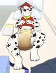 ageplay anthro armor baltnwolf_(artist) blue_eyes blush bodily_fluids canid canine canis cel_shading clothed clothing collar dalmatian diaper diaper_change diaper_fetish diaper_fur diaper_only diaper_use domestic_dog embarrassed feces firefighter firefighter_helmet firefighter_uniform fur genital_fluids headgear helmet hi_res infantilism male mammal markings marshall_(paw_patrol) messy_diaper nickelodeon paw_patrol pee peeing pooping roleplay shaded soiling solo spots spotted_body spotted_fur topless underwear uniform urine wearing_diaper wet_diaper wetting wetting_diaper