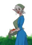  1girl absurdres apron apron_hold arm_markings blue_dress bonnet dark-skinned_female dark_elf dark_skin dress elf english_commentary fangs green_apron highres mawaridi original outdoors plant pointy_ears smile solo tomato white_background yvonne_(mawaridi) 