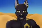  anthro anubian_jackal canid canine canis daddy_dave_(inprogress) desert father hi_res inprogress jackal looking_at_viewer male mammal outside parent selfie smile smiling_at_viewer solo 