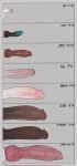 2024 andrew_doodle animal_genitalia animal_penis anthro biped canine_genitalia canine_penis casloafy chart dated digital_media_(artwork) english_text erection foreskin genitals group hi_res humanoid_genitalia humanoid_penis knot lagomorph leporid male mammal measurements penis penis_measurement rabbit text vein veiny_penis