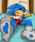  absurd_res anthro armpit_hair bed bedwetting bodily_fluids body_hair clothed clothing drooling eulipotyphlan flaccid footwear furniture genital_fluids genitals hedgehog hi_res illegaleel male mammal partially_clothed peeing penis poking_out saliva sega sleeping socks solo sonic_the_hedgehog sonic_the_hedgehog_(series) torn_clothing underwear urine urine_pool wet wet_clothing wetting 