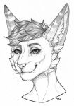  2022 cute_expression ears_up felid feline female fur graphite_(artwork) hair hi_res long_ears looking_at_viewer mammal maoshan no&eacute;mie pencil_(artwork) portrait serval short_hair smile solo striped_ears text traditional_media_(artwork) 