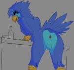 anthro anus avian bent_over bitterant butt feathers male presenting presenting_hindquarters solo solo_focus tail tail_feathers
