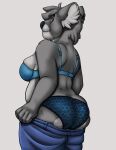 anthro bra butt clothed clothing donna_(os) female hi_res humanoid koala mammal marsupial os panties solo topless underwear vombatiform