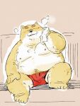 2024 anthro belly big_belly blush brown_body bulge canid canine canis clothing domestic_dog eyes_closed hi_res kemono male mammal moobs nipples overweight overweight_male pommn_mn sitting solo towel underwear white_body