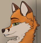 anthro canid canine chest_tuft coffeekit duo ears_up eye_glint fenn_foxx_(coffeekit) fox fur green_eyes looking_at_viewer male mammal orange_body orange_fur shaded smile smiling_at_viewer smirk smirking_at_viewer true_fox tuft whiskers white_body white_fur